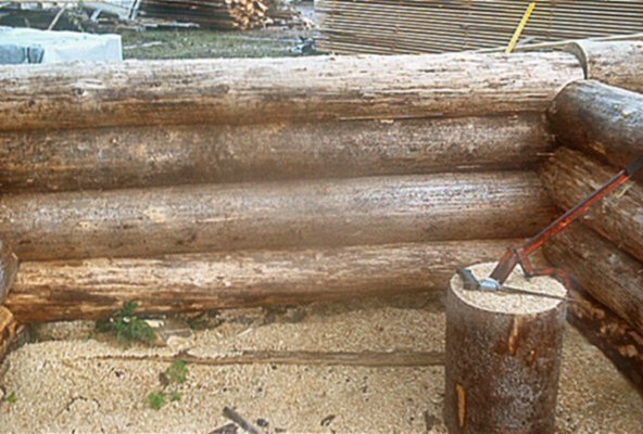 kelorak.